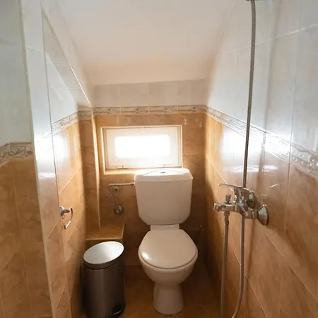 Hotel Zlatna Ribka *