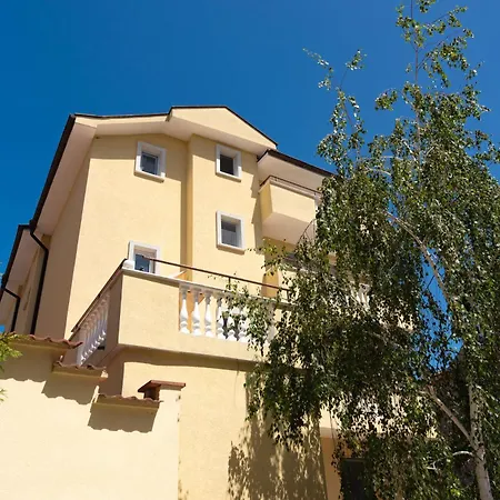 Zlatna Ribka Chernomorets