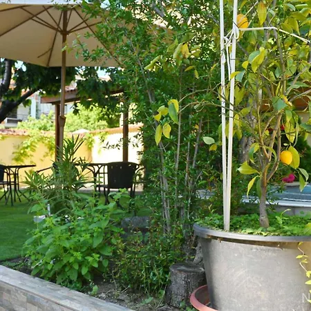 Hotel Zlatna Ribka