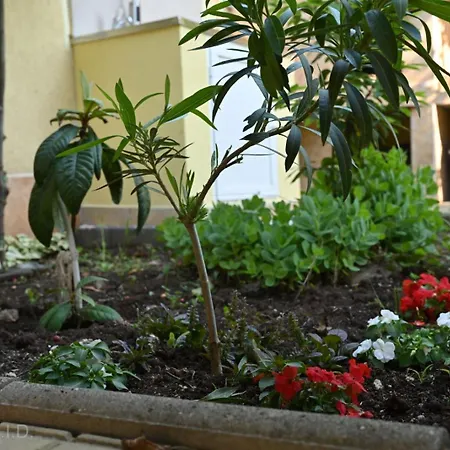 Zlatna Ribka Hotel *