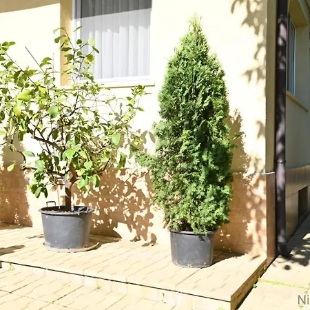 Zlatna Ribka Tschernomorez