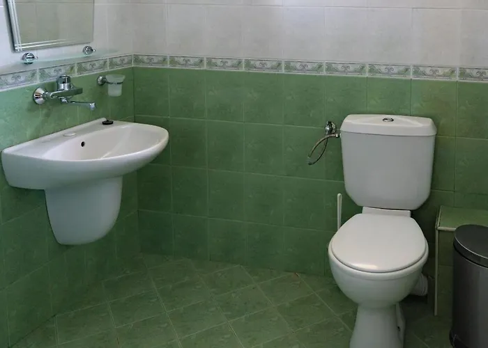 Zlatna Ribka Ξενοδοχείο