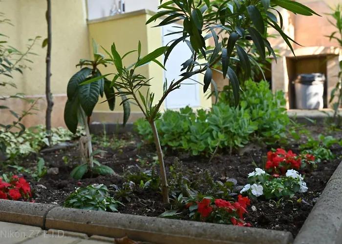 Zlatna Ribka Szálloda *