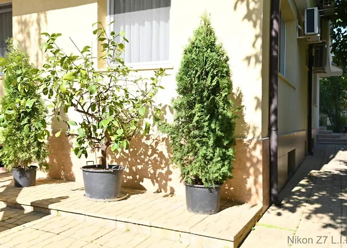 Zlatna Ribka Τσερνομόρετς